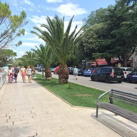 Διαμέρισμα Ana *