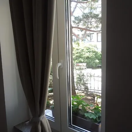 Ana 茨里克韦尼察